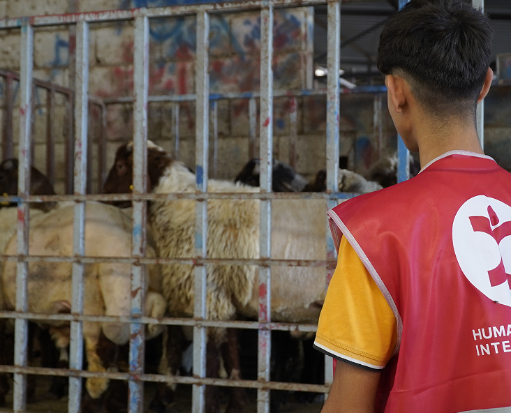 Qurbani Donation